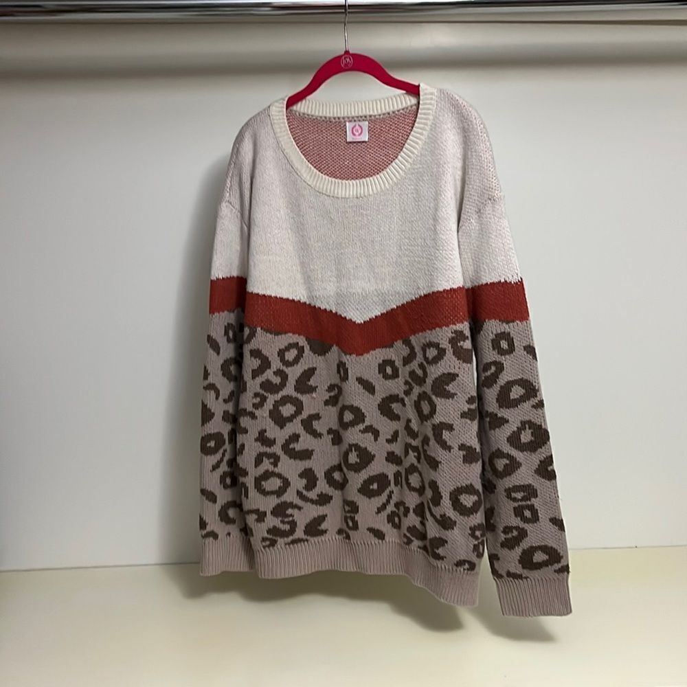 Wanna B Animal Cheetah Print Knit Oversized Long Sleeve Sweater